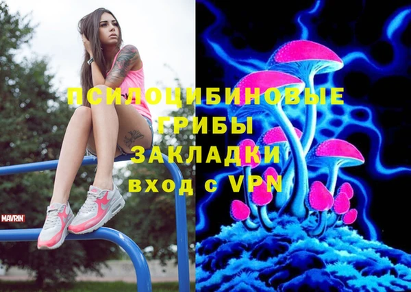шишки Вязники