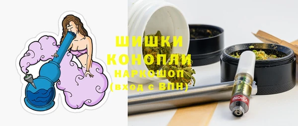 spice Вяземский