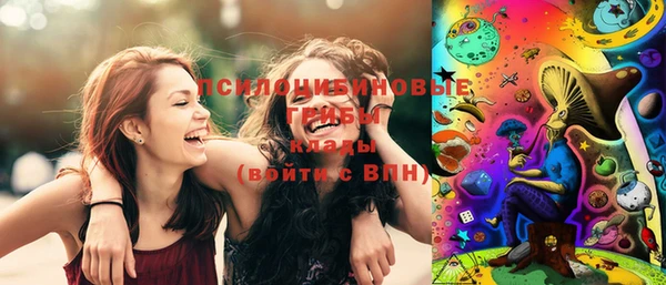 шишки Вязники
