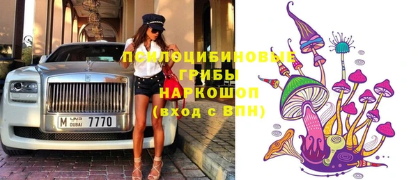 spice Вяземский