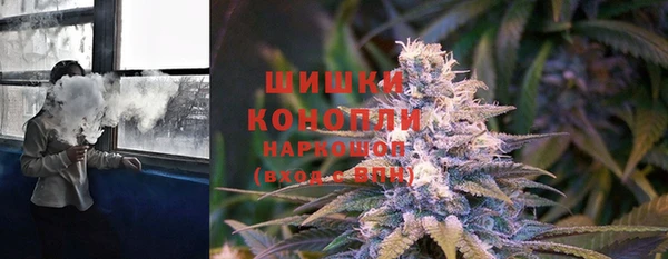apvp Горно-Алтайск